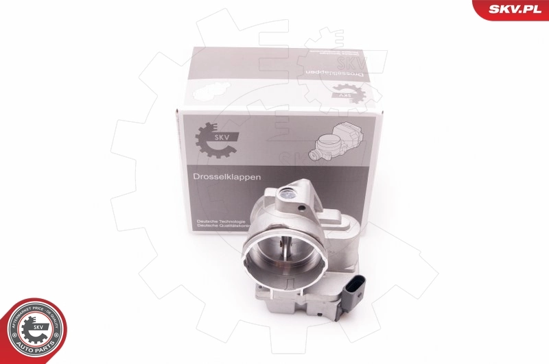Throttle Body